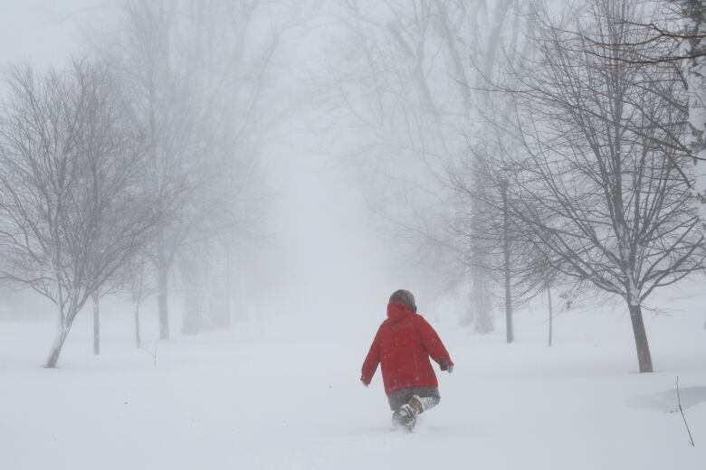 A person in a red coat walks through a winter storm.