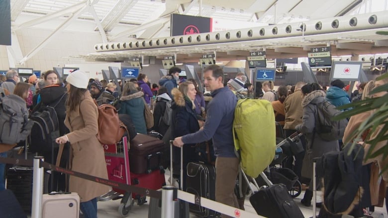 Travellers with luggage are seen lining up at an airport.