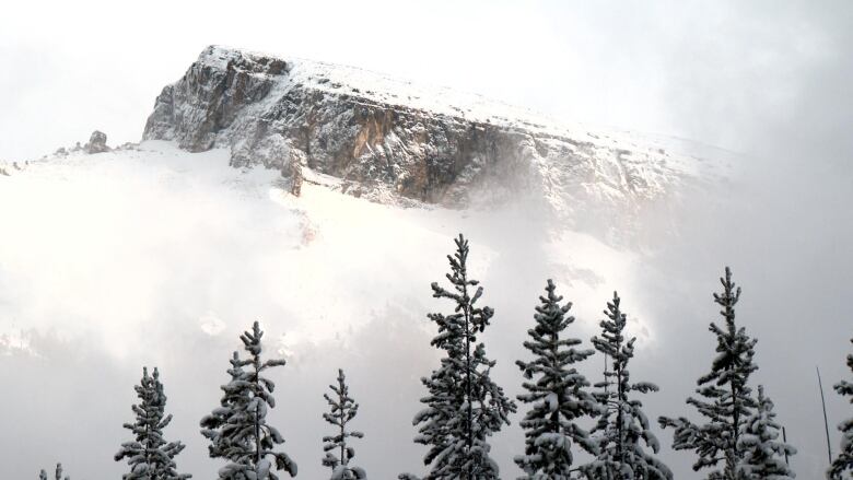 A flat peak with a gentle incline sits atop a giant rock above some fir trees.