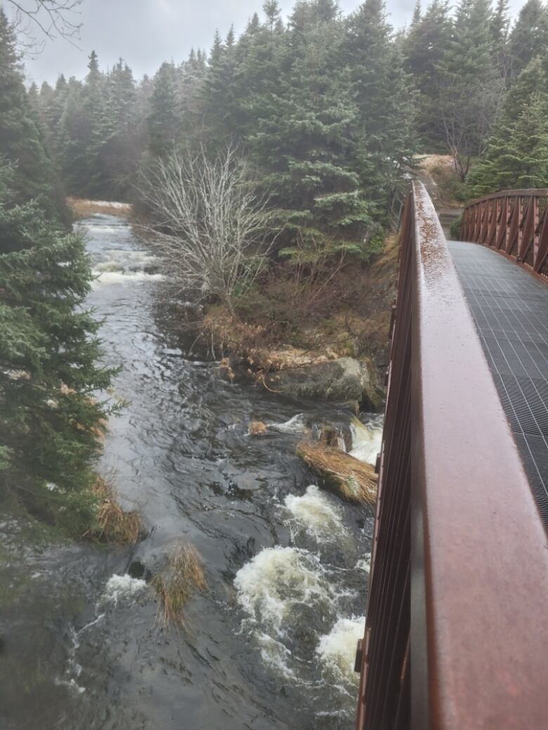 A photo of a bridge in a park on a foggy day. There is running water underneath the bridge and a small bank to the right of the water.