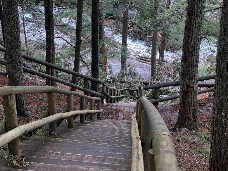 Wooden stairs are seen trailing down the side of a hill. Trees and debris are seen at the bottom of the stairs, on the railing.