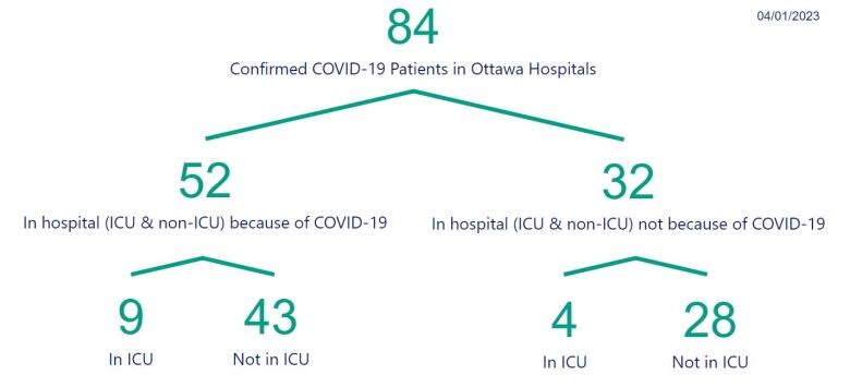 A graphic breaking down Ottawa COVID-19 hospitalizations.