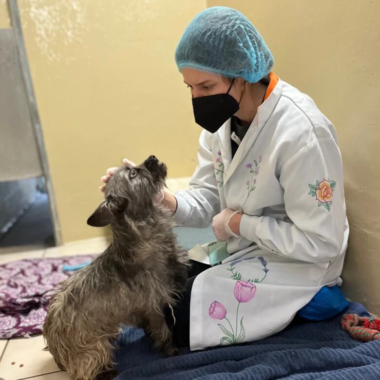 A person in a mask and a lab coat cuddles a small terrier dog.