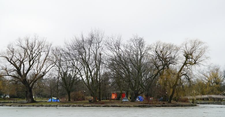 Tents are seen in a park under large trees on a January day.