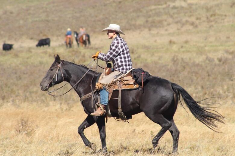 A boy wearing a cowboy hat, flannel shirt, jeans and cowboy boots is in the saddle while riding a dark brown horse in a plain.