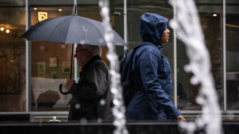 A person holding an umbrella walks past a person in a raincoat near a water feature.