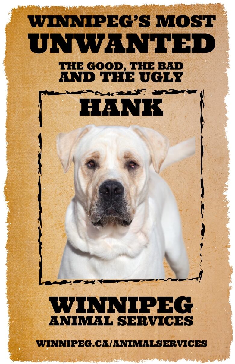 A blonde-coloured Mastiff-mix dog is pictured on a poster that says 