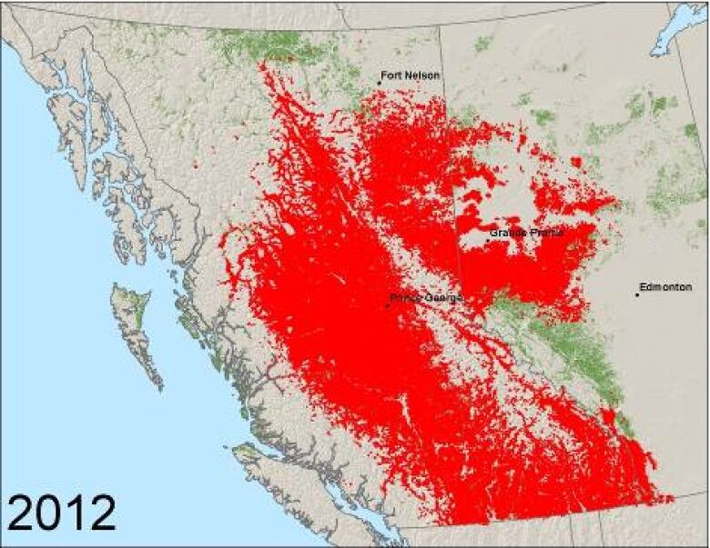 A map showing the range of mountain pine beetle in B.C. and Alberta.