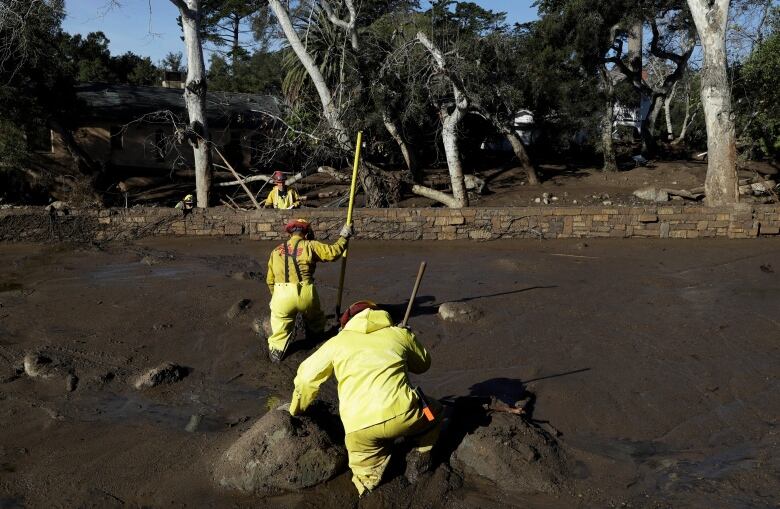 A search and rescue team in yellow rain gear probes knee-deep mud after a deadly slide in Montecito, California in 2018.