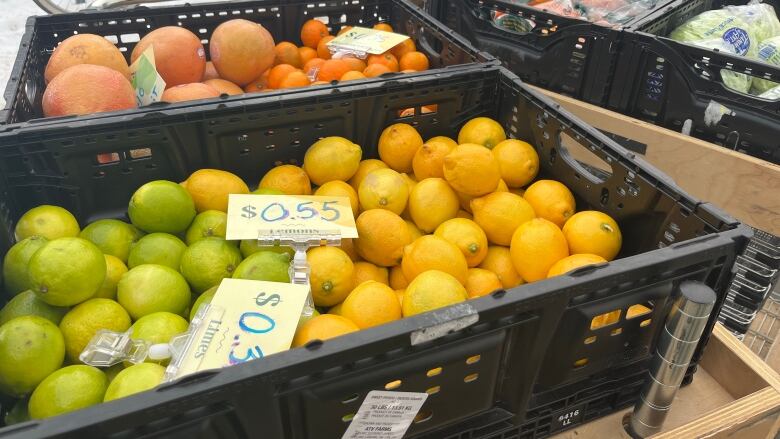 Boxes of limes, lemons, grapefruits, oranges and wrapped cabbages sit on transportable carts. A few price signs show the costs per item to be around 30 to 55 cents. 