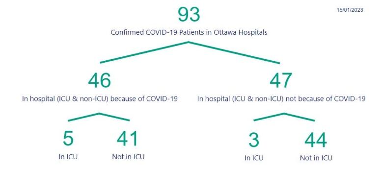 A graphic breaking down Ottawa COVID-19 hospitalizations.