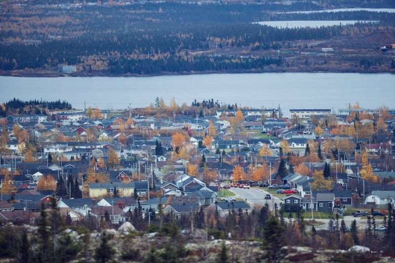 A photo of a community of houses with bright orange trees and a lake in the background. 