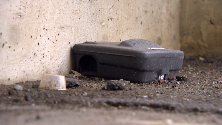 A rodent bait box sits on the dirt on a property in Vancouver.