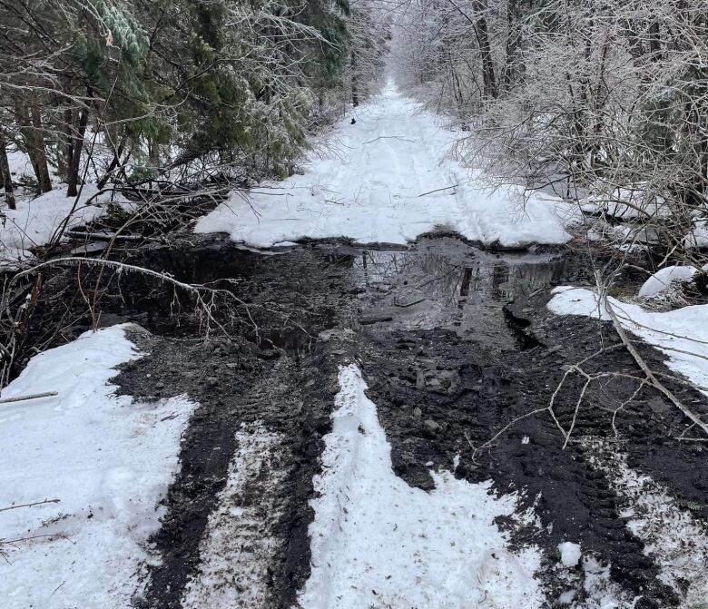 Tire tracks through a snowy, muddy trail.