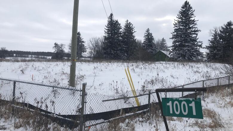 snow covered area with nothing but shrubs and a small green sign that has the number 1001