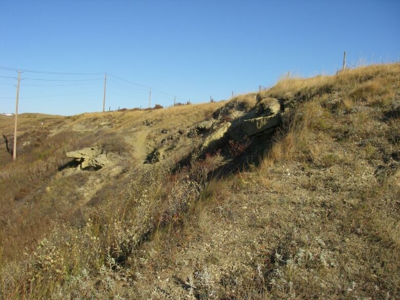 Exposed bedrock sticks out of a grassy hill under a blue sky. 