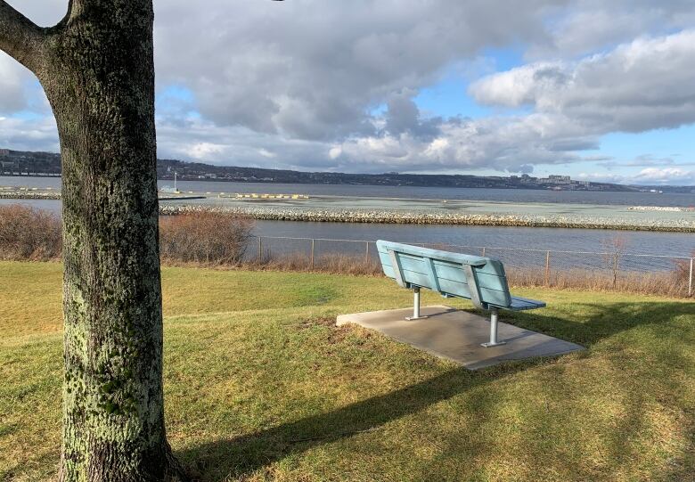 A bench overlooks a board of water.