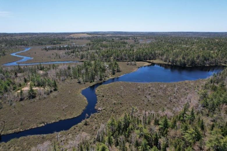 An aerial shot shows a river winding through a treed landscape.