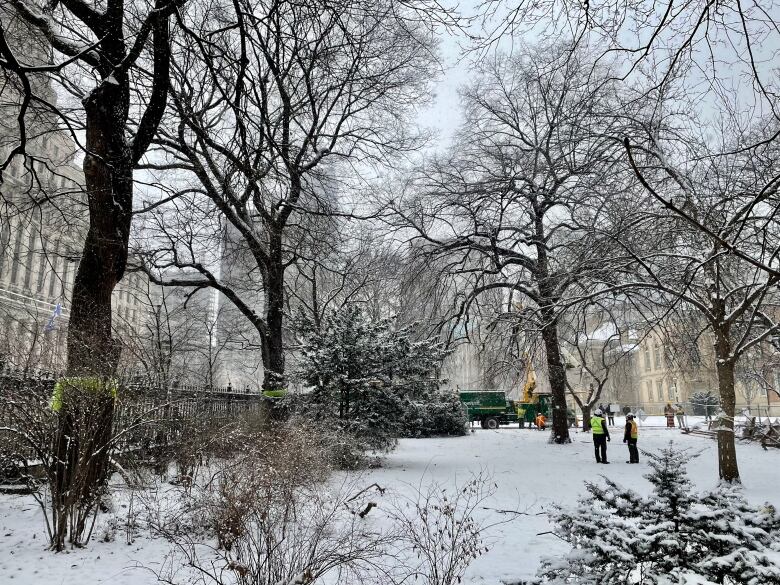 Trees can be seen as snow falls. Construction workers are seen in the background.