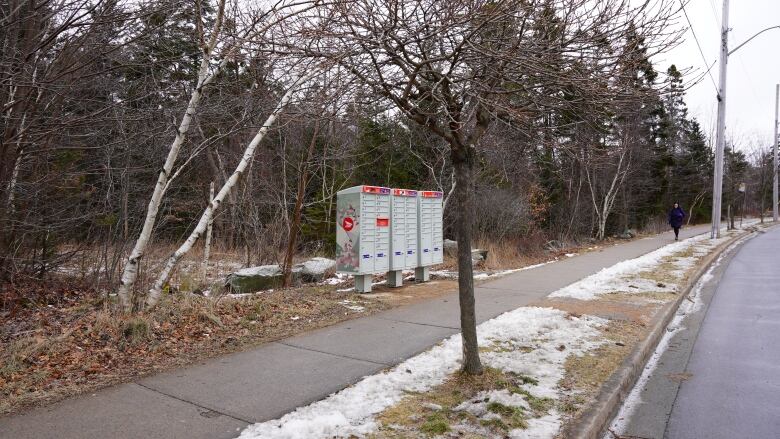 A person in a winter jacket walks along a sidewalk on a city street near a stand of trees.