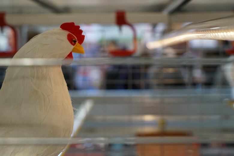 fake chicken in a wire pen