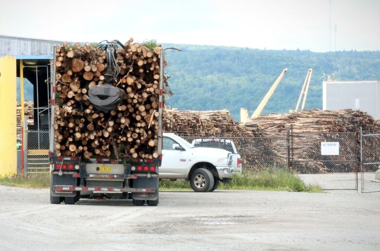 A truck stacked with cut trees waits outside a fenced-in yard containing more cut trees.