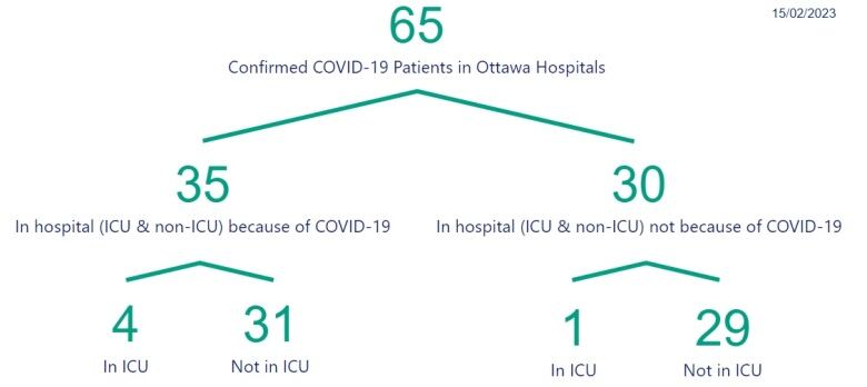 A table showing the number of people in hospital in Ottawa.