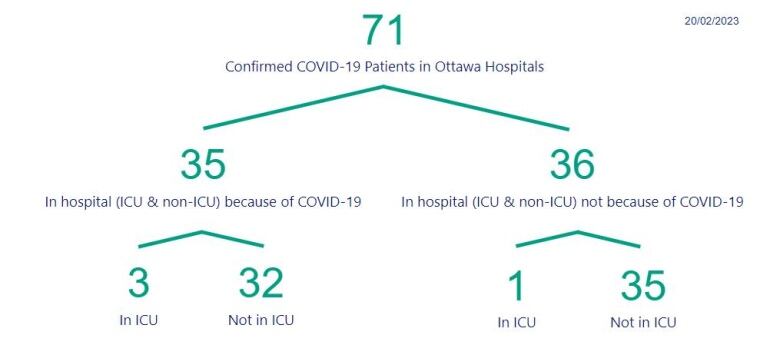 A table showing the number of people in hospital in Ottawa.