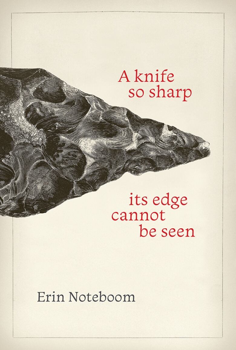 The beige book cover features a close-up image of the tip of an old knife. The knife tip is illustrated with grooves and lines. 