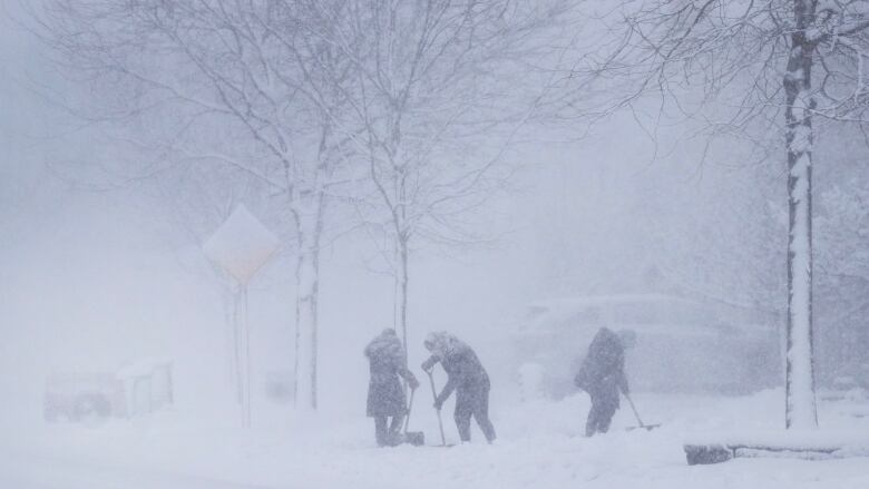 People shovel their driveways during a winter storm.