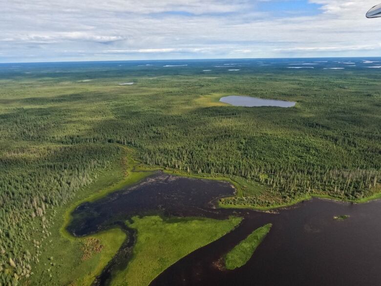 A photo of boreal forest and the Attawapiskat River in northern Ontario, from a plane.