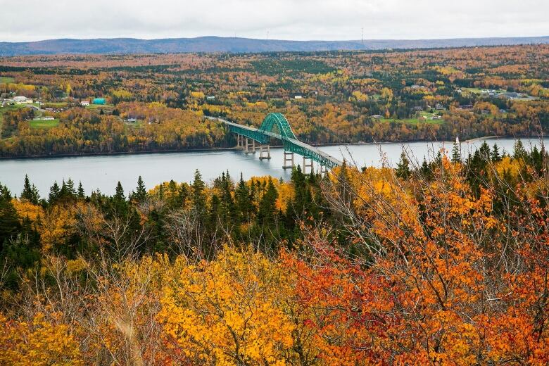 The Seal Island Bridge as seen from a lookoff. The bridge is surrounded by trees with fall foliage. 