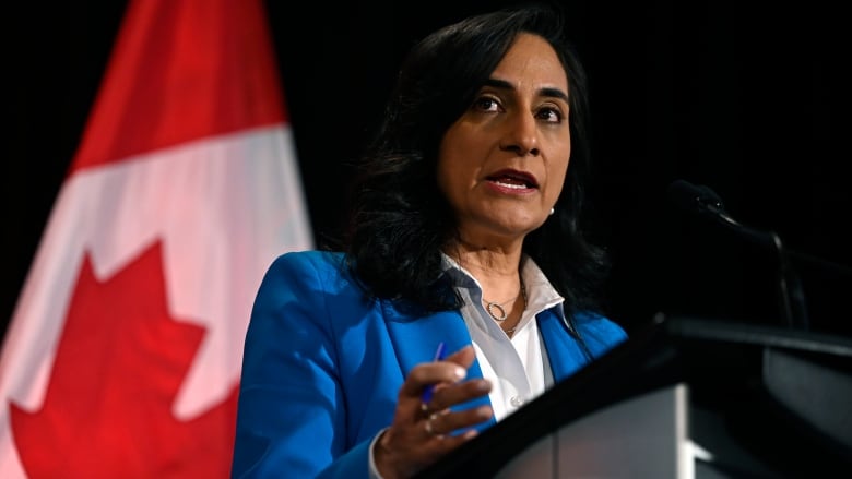 A woman, Defence Minister Anita Anand, in a blue suit stands in front of a Canadian flag.