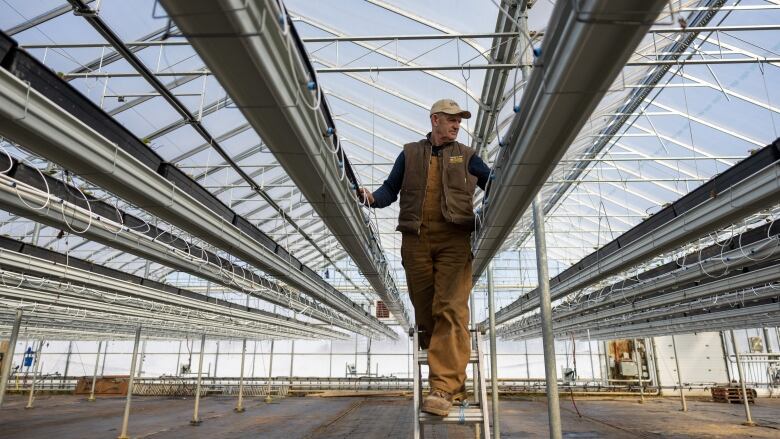 A man stands on a ladder looking at trays of plants hanging from the ceiling of a greenhouse.