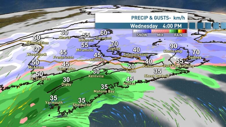 A diagram shows the forecasted precipitation and wind gusts for Nova Scotia on Wednesday, March 15.