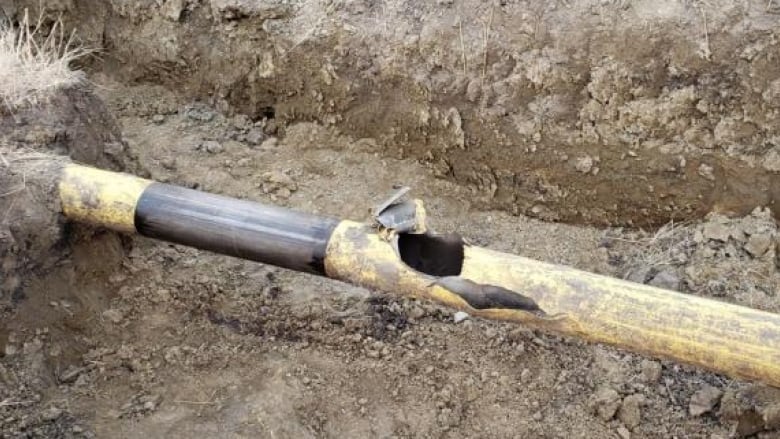 An exposed section of an underground yellow pipeline is exposed showing a hole from farm activity.