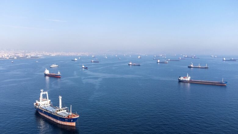 Several large ships anchored in the sea.