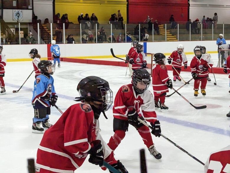 Kids playing hockey