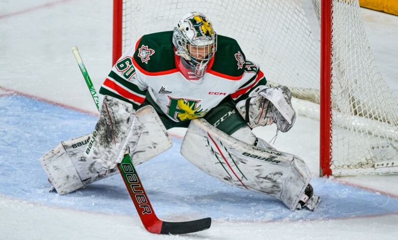 A goalie in a white, red and black uniform guards the hockey net.