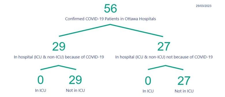 A chart showing the number of people in Ottawa hospitals with COVID.