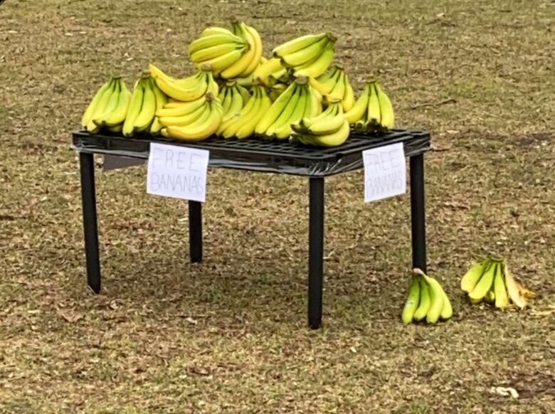 These bananas were found in Victoria Park on Mar. 23.