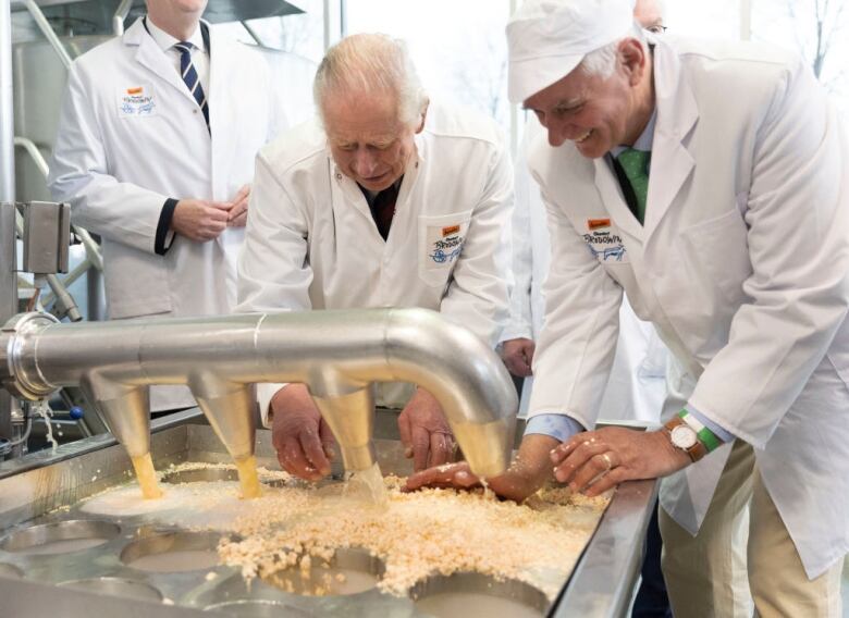 People use their hands to help with cheese production in a factory.