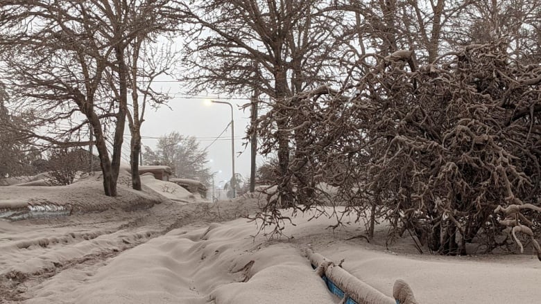 Thick ash covers a road and trees like snow.