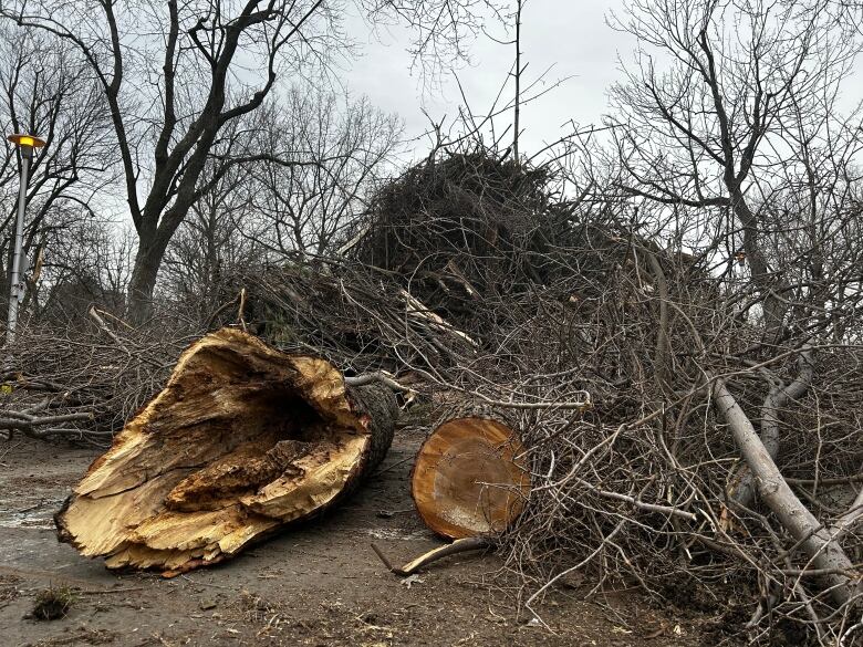 big pile of branches 