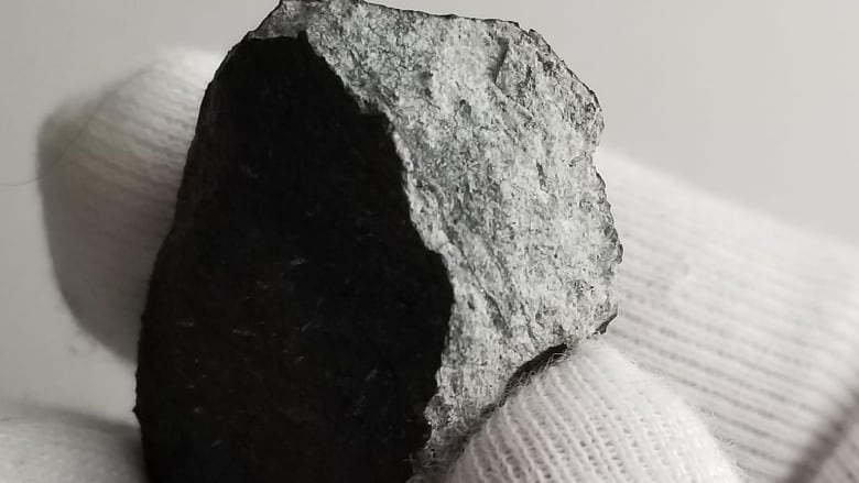 A white gloved hand holding a grey rock against a white background