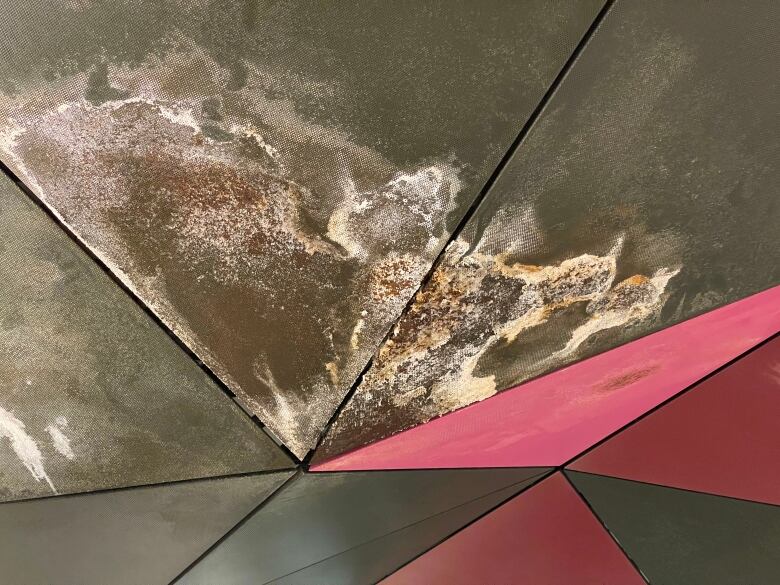 A water-damaged roof.