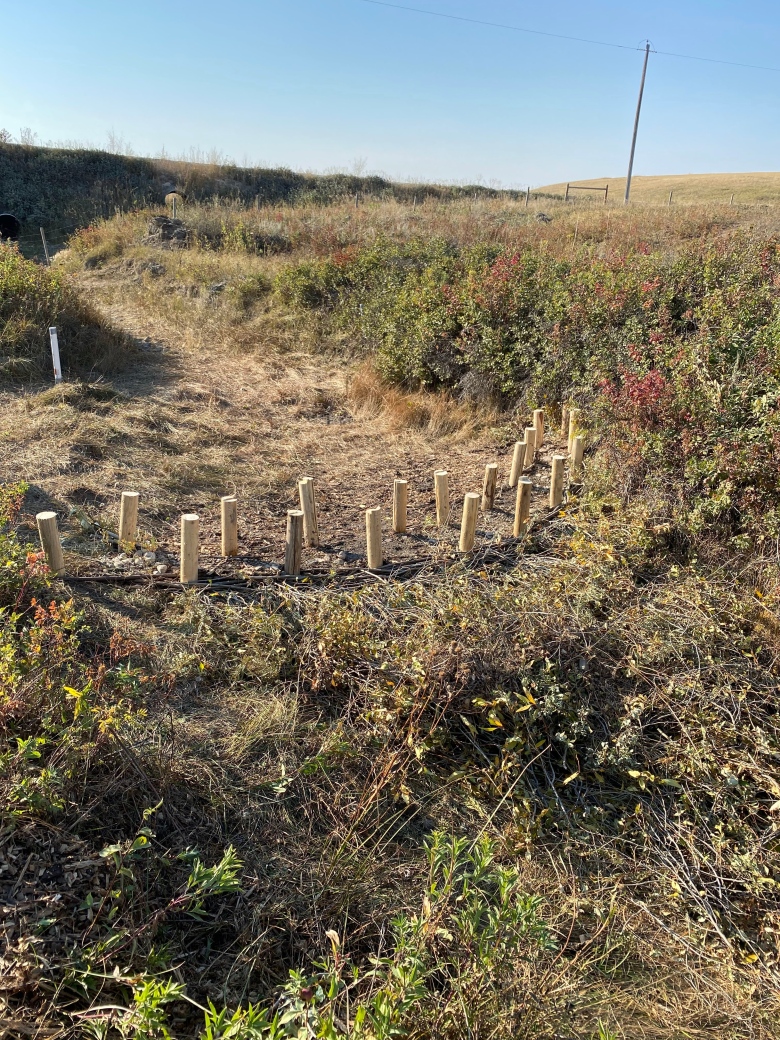 A beaver dam analog mimics what the real thing would do on the landscape. 