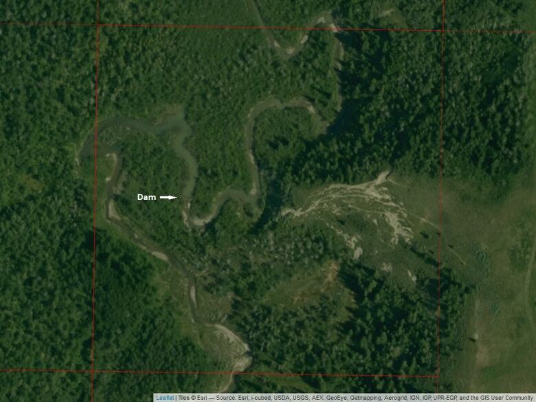 This is an example of a 250 metre area Zooniverse users are looking at to find signs of beaver life.