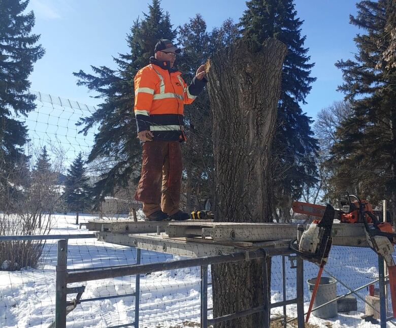 Man in orange construction jacket and brown cargo pants stands on aerial lift next to a tree.