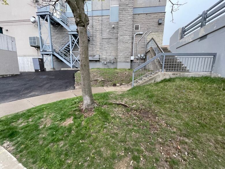 The base of a tree outside of a small apartment block.